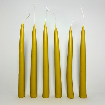 Hand Dipped Tallow Beeswax Candles - 6